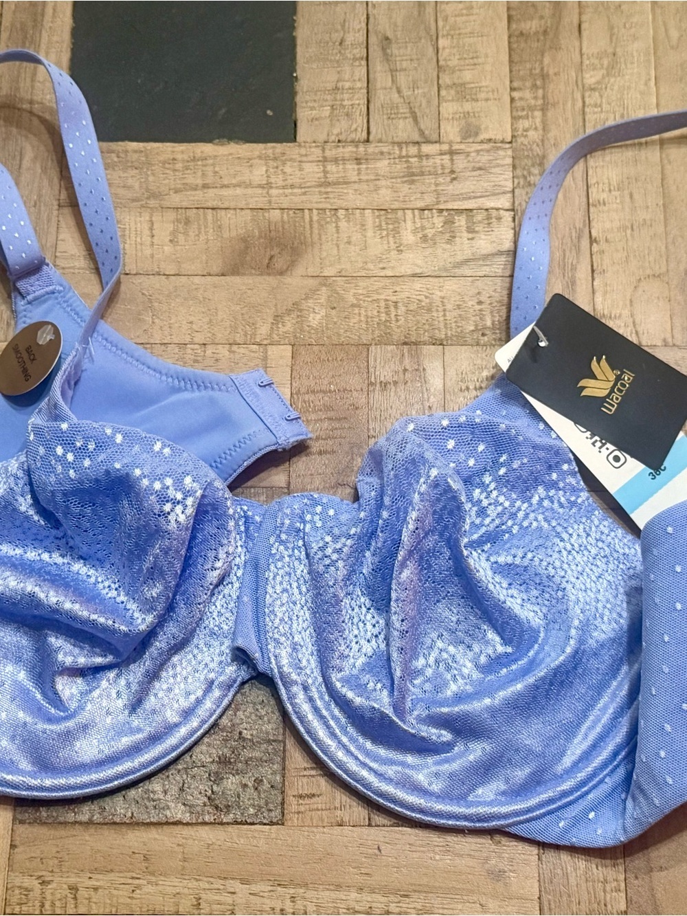 NWT Wacoal Back Appeal Underwire Bra Soft Sky Blue Dot Jacquard - Size 36C